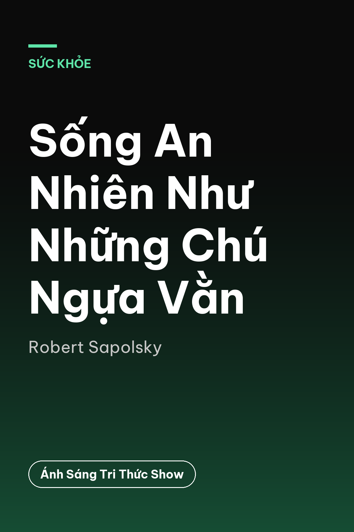 Sống An Nhiên Như Những Chú Ngựa Vằn